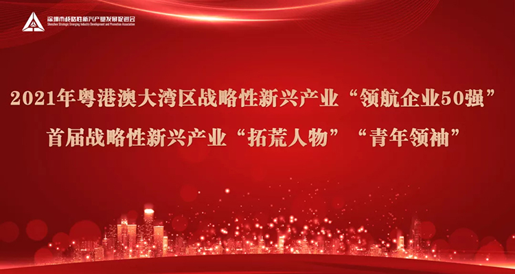 乐鱼总经理刘辉林喜获首届粤港澳大湾区战略性新兴产业“青年领袖”荣誉称号